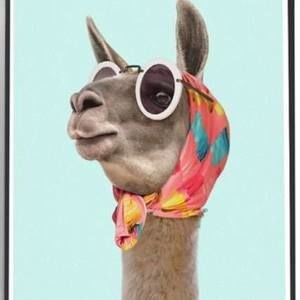 Meet your Posher, Rita